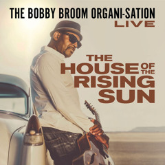 The House of the Rising Sun (Live) [feat. Organi-Sation]