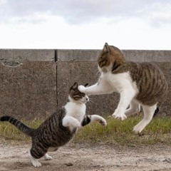 [uziexclusive] Renacido - Outerspace (ft. Soe)