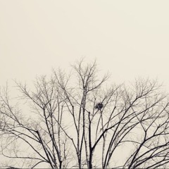 Ólafur Arnalds - Revelations (Herhangi/Deep-Noise Revision)