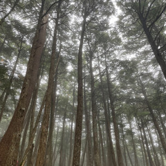 Japanese Rap R&B Mixed by DJ TATSUKI