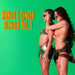 Mango & Ginger Blender Vol.3