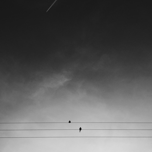 Dusk