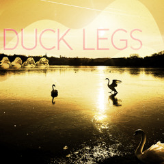 Duck Legs