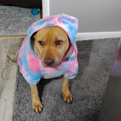 Let’s Talk About Jesus