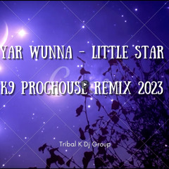 Yar Wunna - Little Star ( K9 ProgHouse Remix 2023 ) Tribal K Family Group
