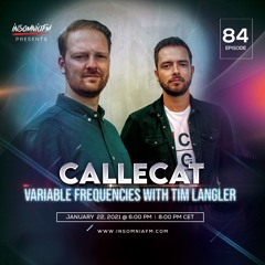 Variable Frequencies (Mixes by Tim Langler & Callecat) - VF84