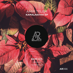 PREMIERE: Amir Telem - Kamalnatha (Cosmosolar Remix) [Aftertech Records]