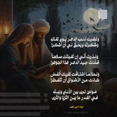 وغَفَرتُ ذَنبَ الدَهرِ يَومَ لِقائِهِ
