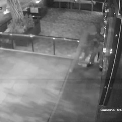 TAKETHEGUN187 - CRUETLY.