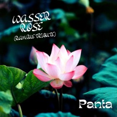 Wasser Rose (Rampue tribute)