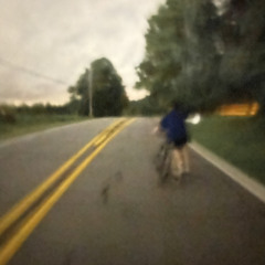 viceroy why won’t you fly