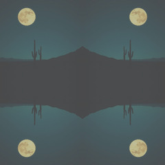 Circles of Silence – Cercles du Silence