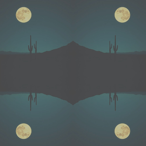 Circles of Silence – Cercles du Silence