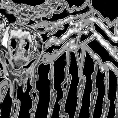 ALIENZ
