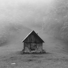 Rec .004 - Cabin Fever