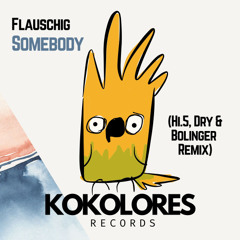 Flauschig - Somebody (Hi.5, Dry & Bolinger Remix) 🦜