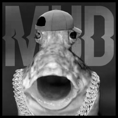 Mud-Skipper