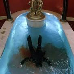 MsupLuhDillo (TxnyMxnt4n4)