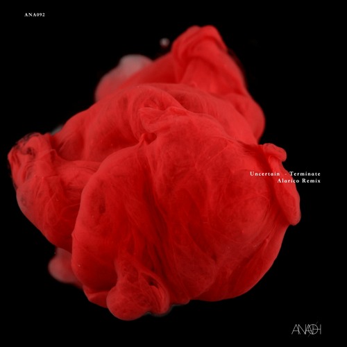 [ANA092] Uncertain - Terminate w/ Alarico Remix *Previews*