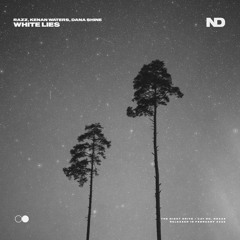 RAZZ, Kenan Waters & Dana Shine - White Lies