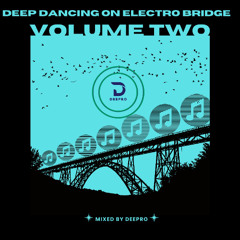 DEEP DANCING ON ELECTRO BRIDGE - VOLUME TWO