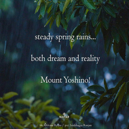 both dream and reality [naviarhaiku591]