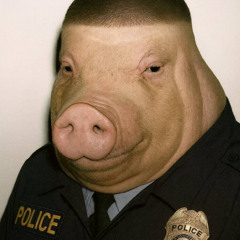 ADHSMR - 1312 Polizei