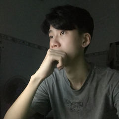 VIETMIX LUNG TUNG - VIDONG
