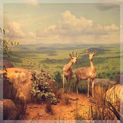 foxtails - timeline