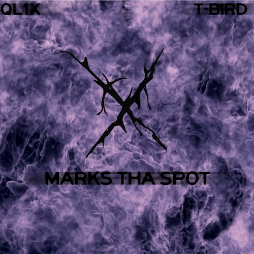 x marks tha spot w/ T-Bird