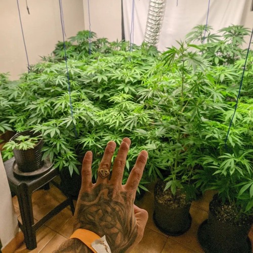 1Gangster&1Scort x @rempilchado13 for soundcloud