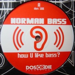 Norman Bass - How U Like Bass (Warp Brothers Club Mix)