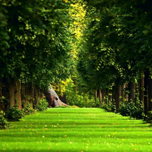 Anison background chill out music DOWNLOAD