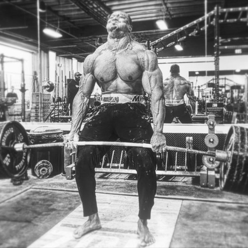 Three Days Grace - Animal I Have Become - Tren Twins x Larry Wheels