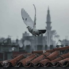 سورة الشّورى | القارئ هيثم الدّخين