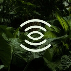 Botanika ∞ Secret Rainforest