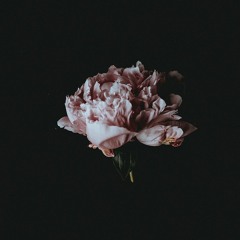 Chris Brown - Hope You Do (Remix)