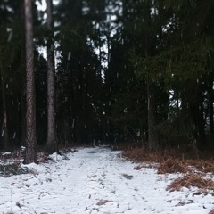 Out In The Woods