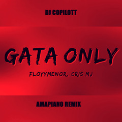 DJ COPILOTT x FLOYYMENOR - GATA ONLY  ( AMAPIANO REMIX )