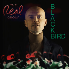 Blackbird (feat. Janis Strazdins)