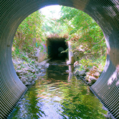 Lif333 ina Dr@in [p* back2EARTH!]