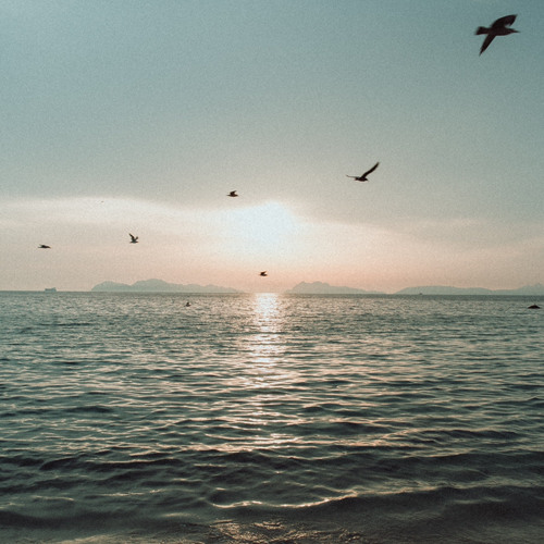 فالقـلب بـراق تـباشـيره أمـزان ♡