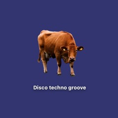 Disco Techno Groove