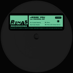 Premiere : Jesse You - Crystal Swamp (RUNAS02)