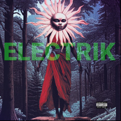 Freddie Electrik -“Plum”