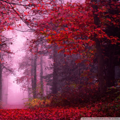 children of children (concept)