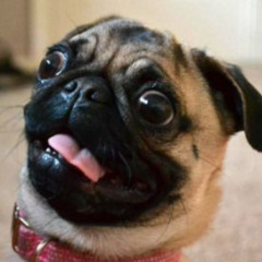 Вношу ясность на двух берегах