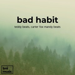 bad habit (w/ carter fox, mandy beats)