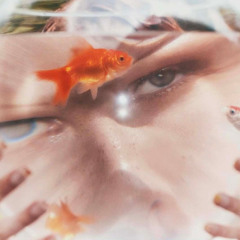 Eartheater - Supersoaker (hollywoodrealthoughts dnb remix)