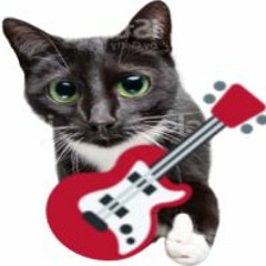 Guitar Dininanininana
